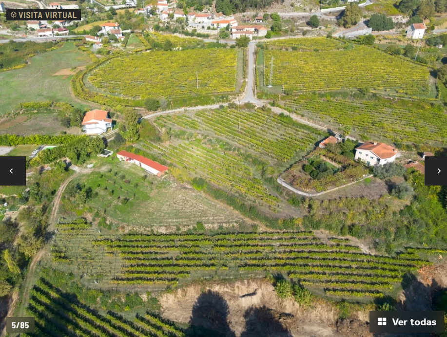 Estate with Vineyard in Amarante-3