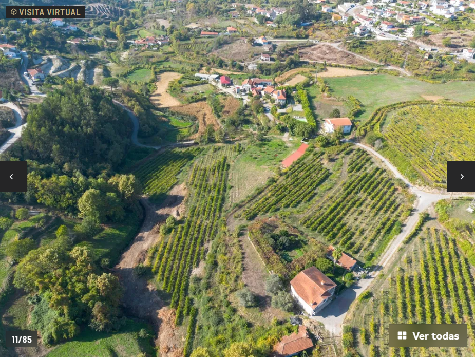 Estate with Vineyard in Amarante-7