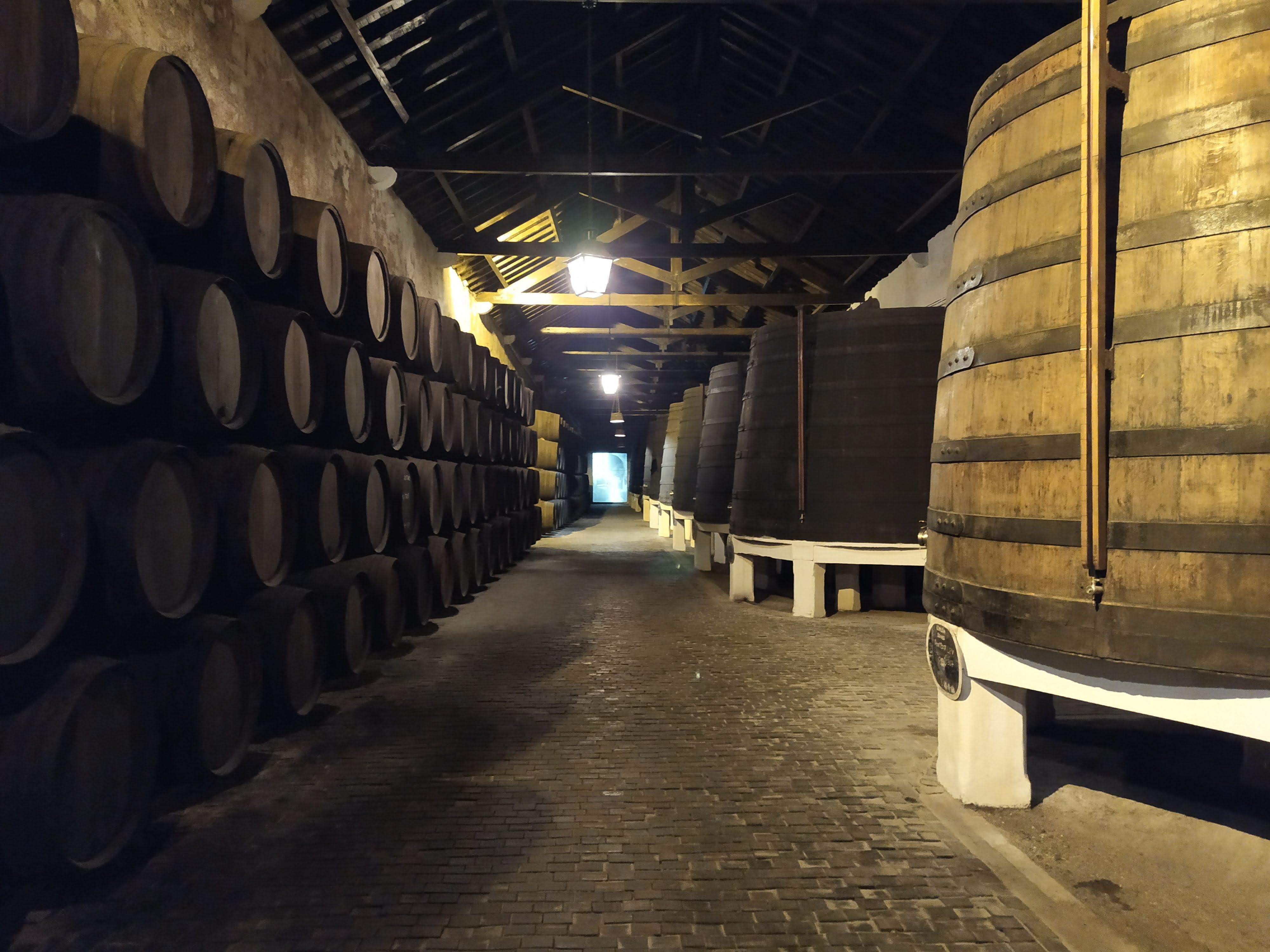 Wine Tourism in Porto and the wine lodges of Vila Nova de Gaia