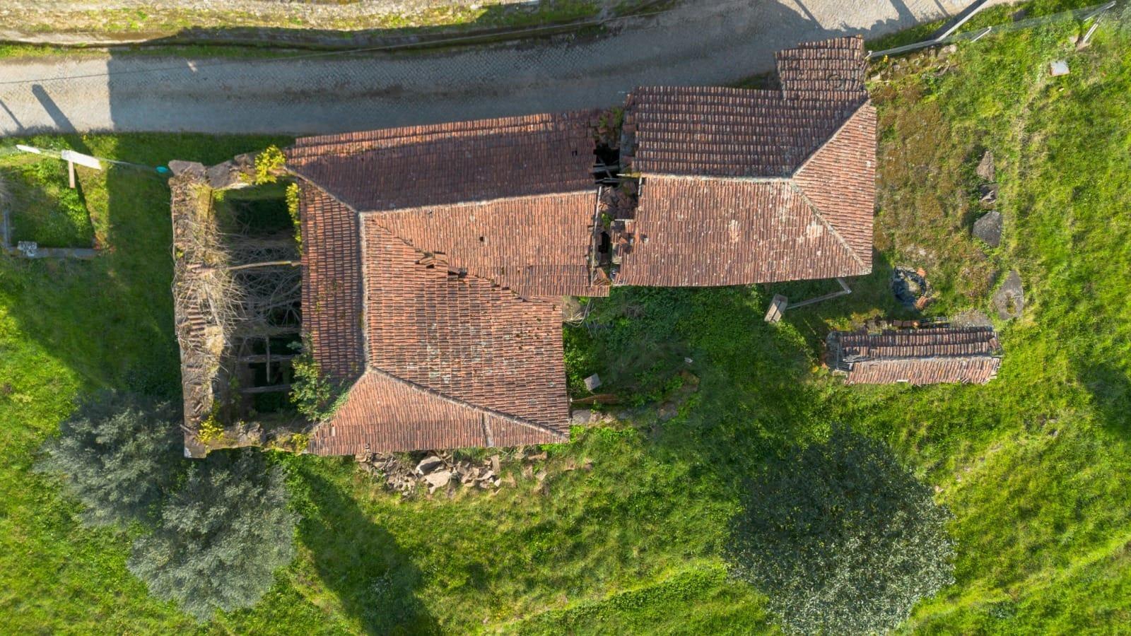 Land with an Active Vineyard and a House in Celorico de Basto-1