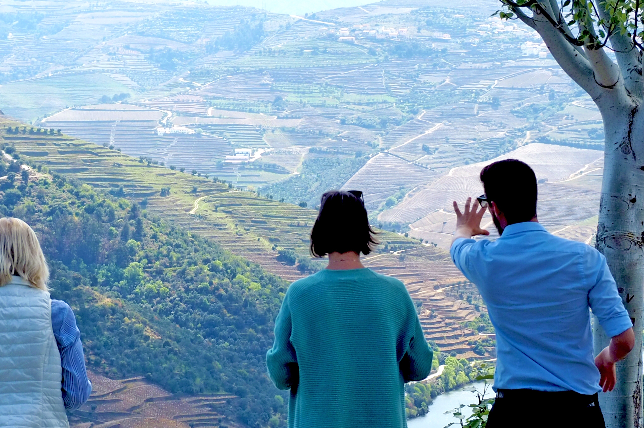 Douro Signature - An Exclusive Journey